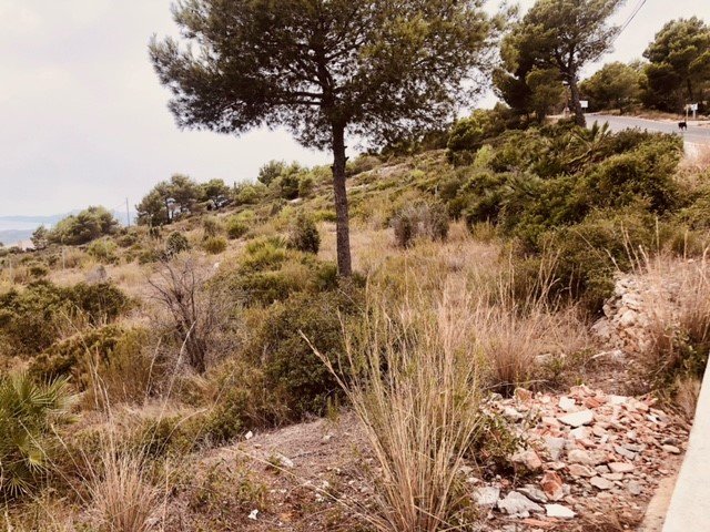 Terreno en venta en Alcalá De Chivert, Castellón