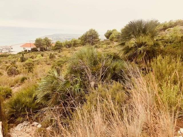 Terreno en venta en Alcalá De Chivert, Castellón