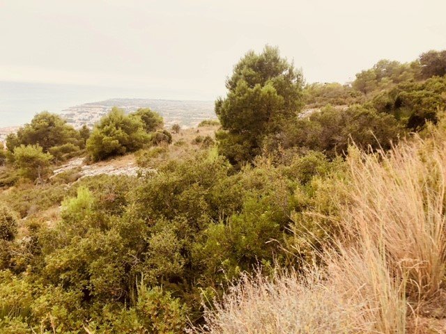 Terreno en venta en Alcalá De Chivert, Castellón