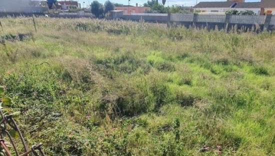 Terreno Urbano en venta en Burriana, Castellón