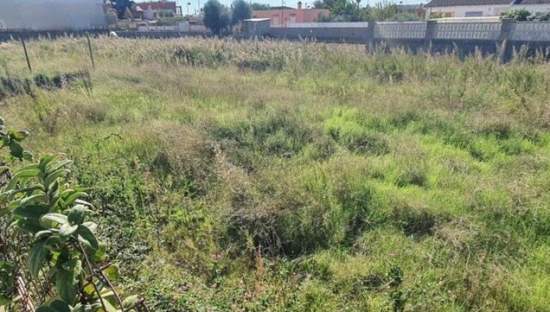 Terreno Urbano en venta en Burriana, Castellón