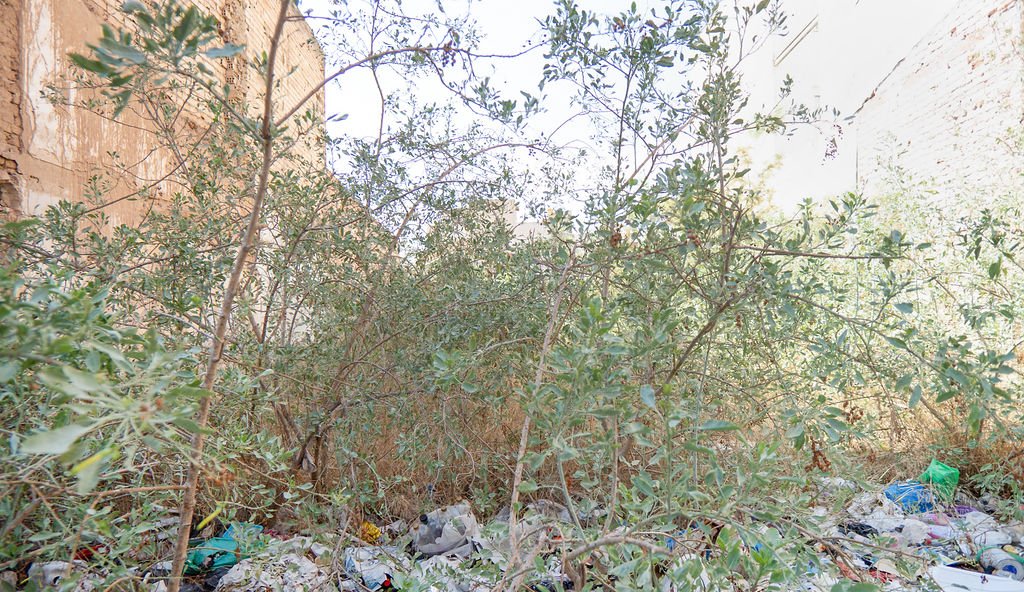 Terreno en venta en Espinardo, Murcia