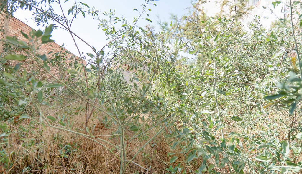 Terreno en venta en Espinardo, Murcia