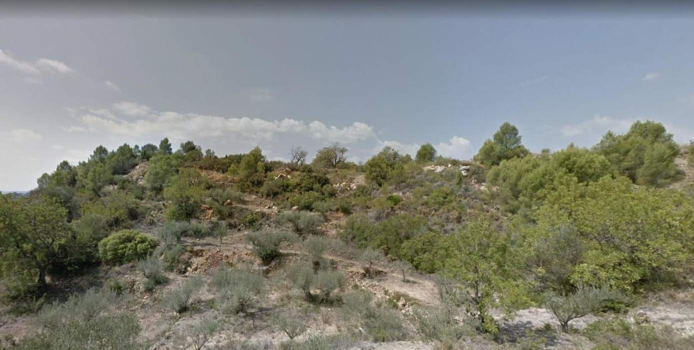 Urbanizable Programado en venta  en Calle Vial A Ribesalbes Castelln