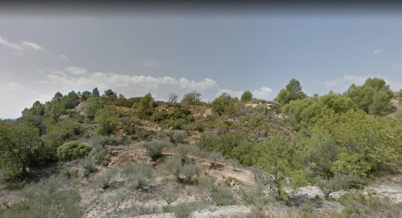 Urbanizable Programado en venta  en Calle Vial A Ribesalbes Castelln
