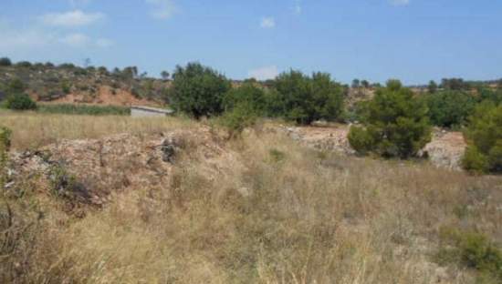 No Urbanizable Rstico en venta  en Partida Bustal Sant Mateu Castelln