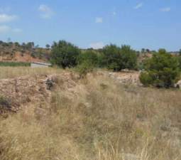 No Urbanizable Rstico en venta  en Partida Bustal Sant Mateu Castelln