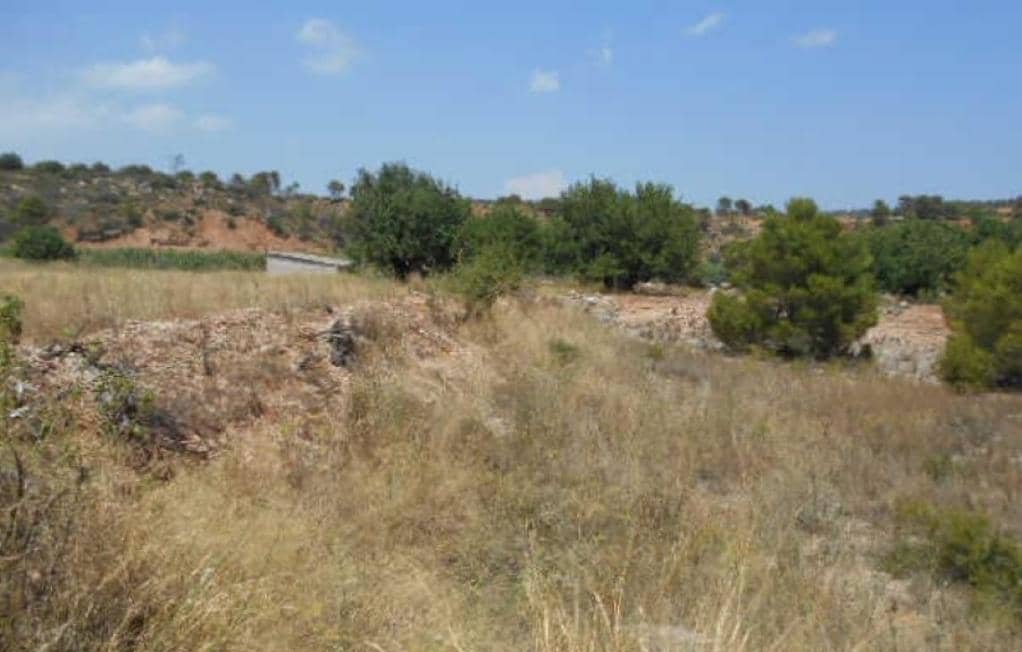 No Urbanizable Rstico en venta  en Partida Bustal Sant Mateu Castelln