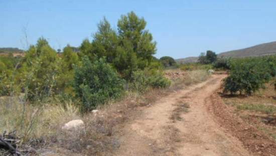 No Urbanizable Rstico en venta  en Partida Bustal Sant Mateu Castelln