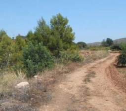 No Urbanizable Rstico en venta  en Partida Bustal Sant Mateu Castelln