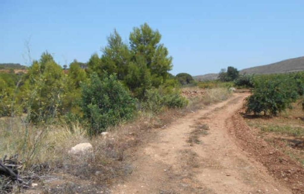 No Urbanizable Rstico en venta  en Partida Bustal Sant Mateu Castelln