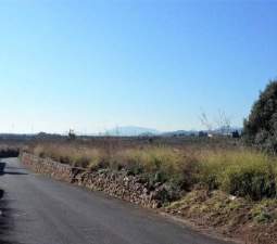 Suelo Rstico No Urbanizable en venta en Partida Parchet Torreblanca Castelln