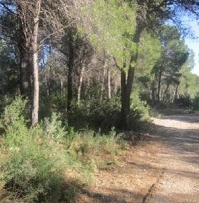 Urbanizable Programado en venta  en Camino Viejo Azagador De La Raya, Benicarló, Castellón