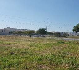 Otros en venta en PLAZA TODOS LOS SANTOS, ALMASSORA