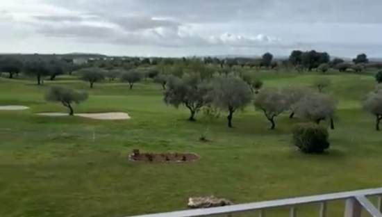 Vivienda en alquiler en San Jorge, Castellón