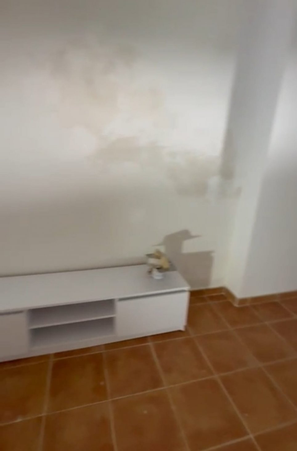 Vivienda en alquiler en San Jorge, Castellón