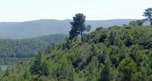 Terreno en venta en Yátova, Valencia