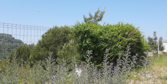 Terreno Urbano en venta en Borriol, Castellón