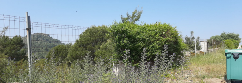 Terreno Urbano en venta en Borriol, Castellón