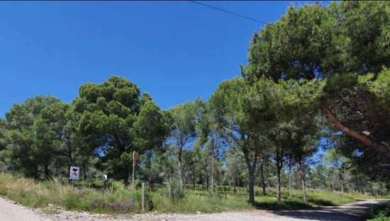 Urbanizable Programado en venta  en Camino Viejo Azagador De La Raya, Benicarló, Castellón