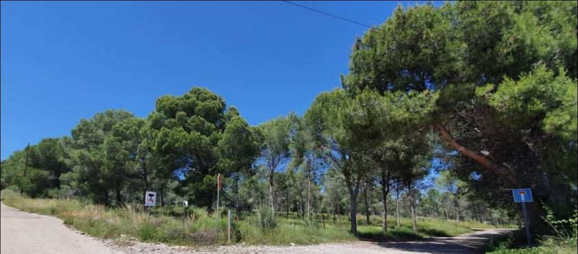 Urbanizable Programado en venta  en Camino Viejo Azagador De La Raya, Benicarló, Castellón