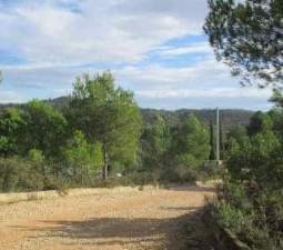 Urbano (Solar) en venta  en Calle Oliveral (Urb. Fuente Del Mico), Alborache, Valencia