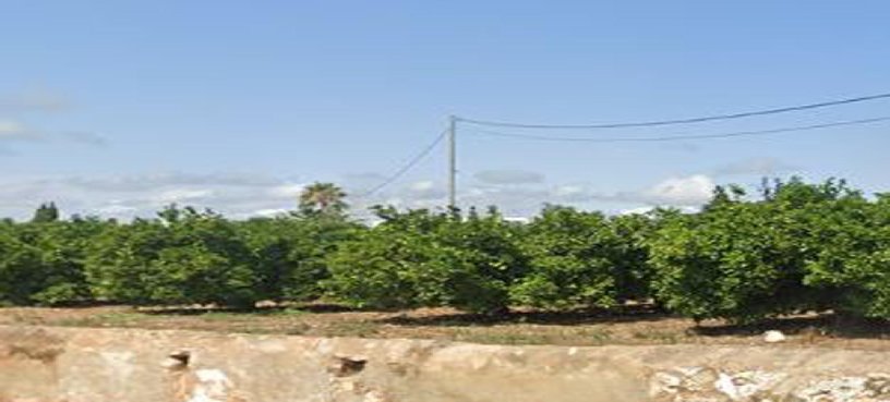 Otros en venta en CALLE HIL CLARAMUNT, VINAR?S