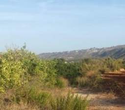 Terreno Rústico en venta en Torrente, Valencia
