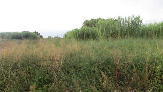 Suelo Urbano en Sueca