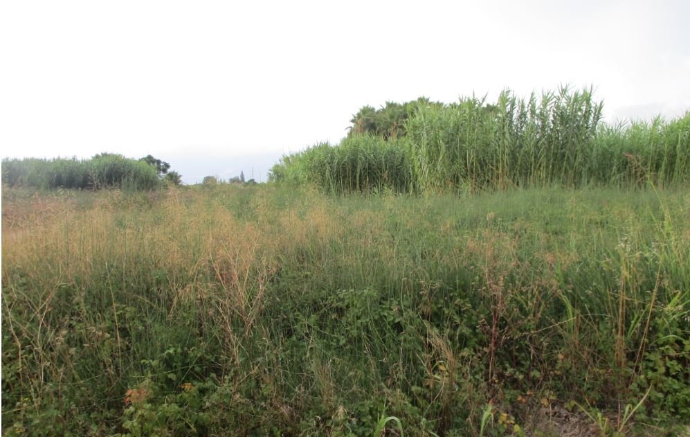 Suelo Urbano en Sueca