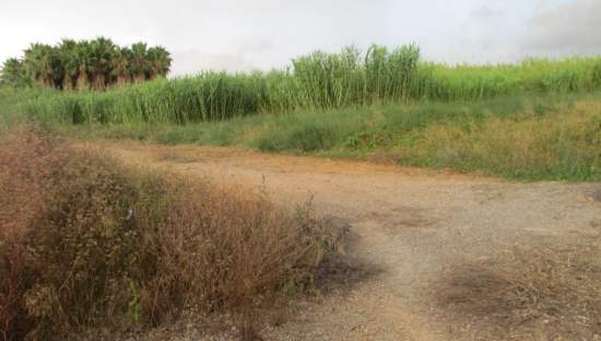 Suelo Urbano en Sueca