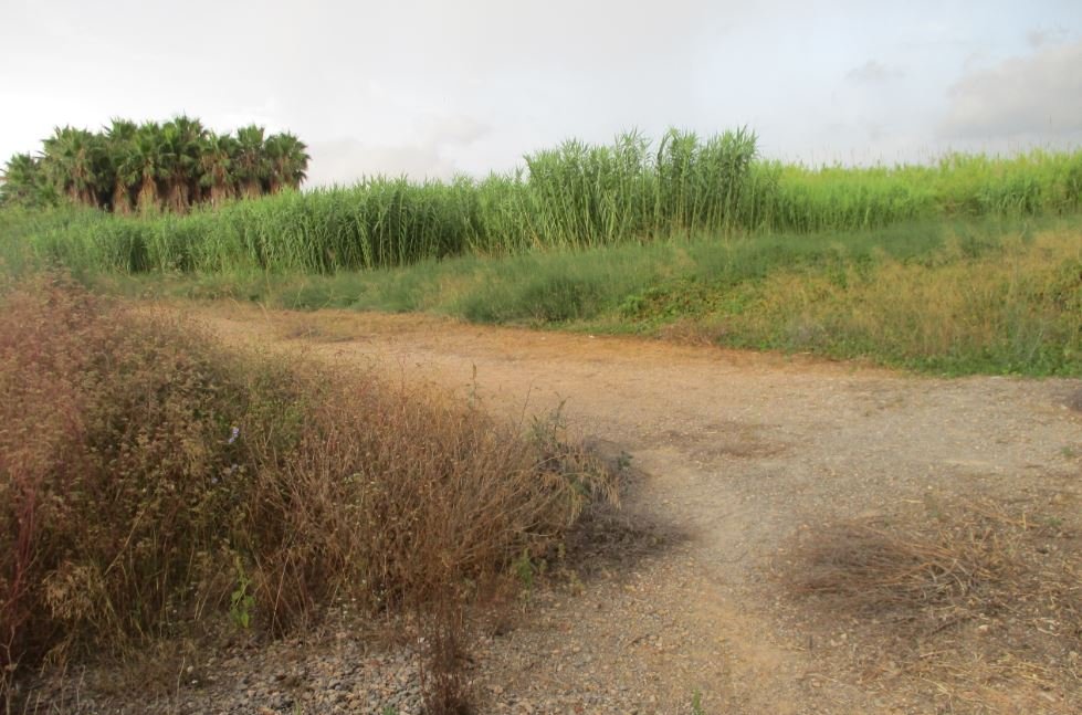 Suelo Urbano en Sueca