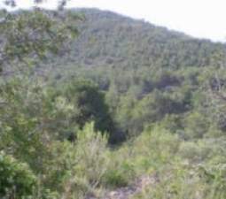 No Urbanizable (Rústico) en venta  en Lugar Estopet Polígono 12, Alcalà De Xivert, Castellón