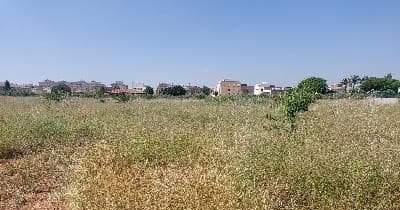 Suelo rústico no urbanizable en venta en Partida Marrada, 12006, Castellón De La Plana Castellón