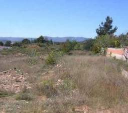 Solar en venta en Urbanizacin Monrabana Llria Valencia