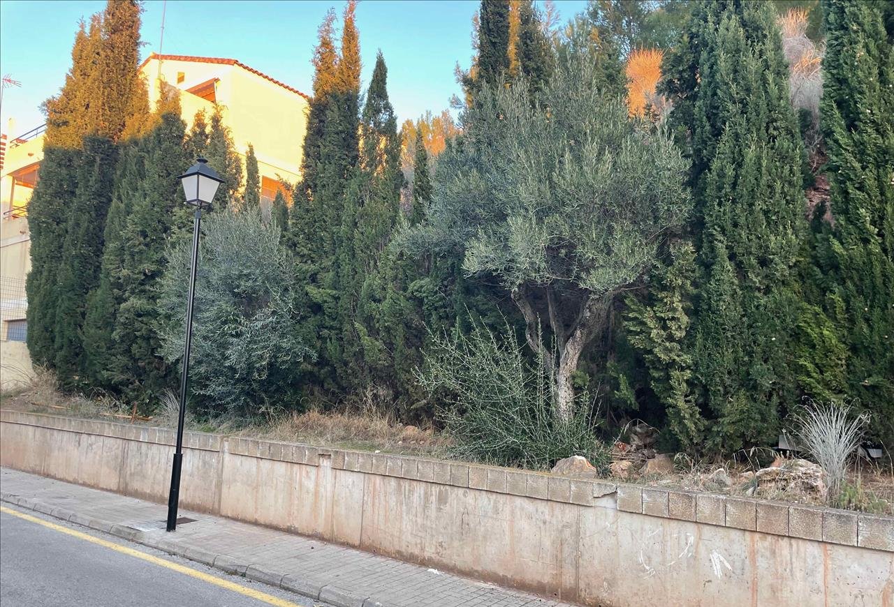 Adquiere suelo urbanizable industrial en crincn de naquera Nquera por 33000 con 2061m
