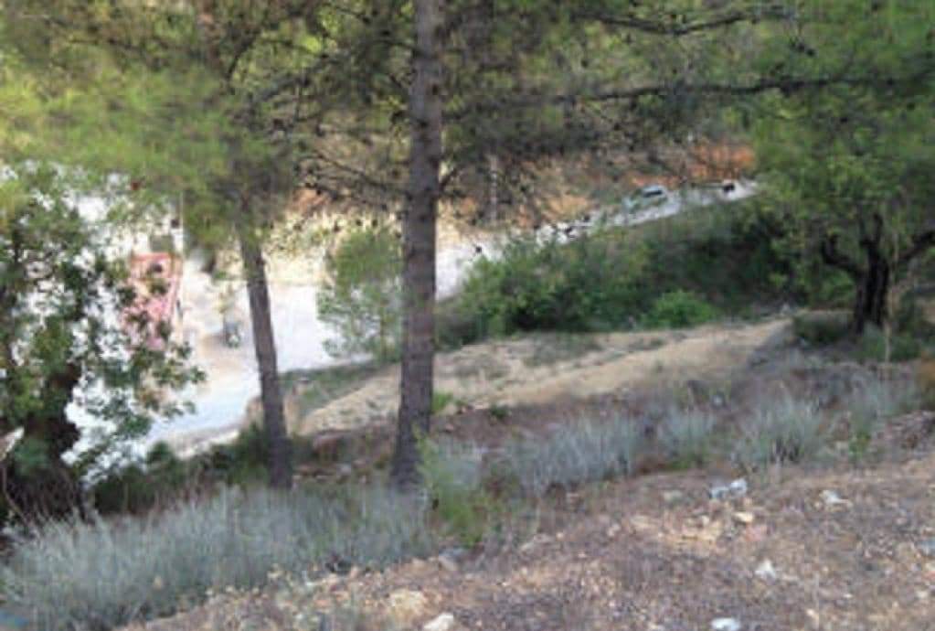Suelo Rstico No Urbanizable en venta en Partida Aguilas Sueras Castelln