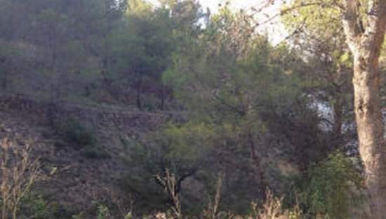 Suelo Rstico No Urbanizable en venta en Partida Aguilas Sueras Castelln
