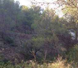 Suelo Rstico No Urbanizable en venta en Partida Aguilas Sueras Castelln