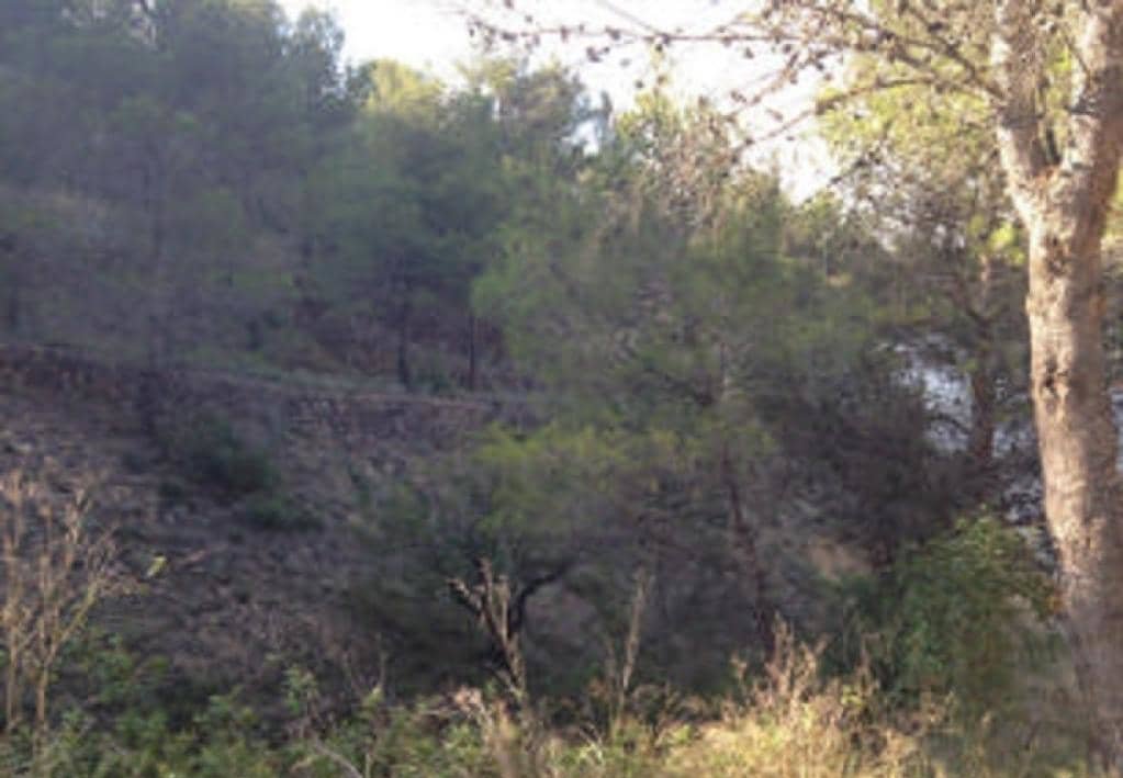 Suelo Rstico No Urbanizable en venta en Partida Aguilas Sueras Castelln