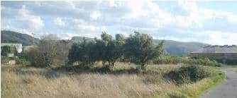 No Urbanizable (Rústico) en venta  en Avenida Del Llombo, Ontinyent, Valencia