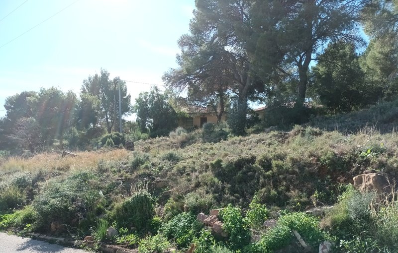 Descubre finca rstica por 22000 con 432m en cpolgono 35 parcelas 297 y 299 Serra