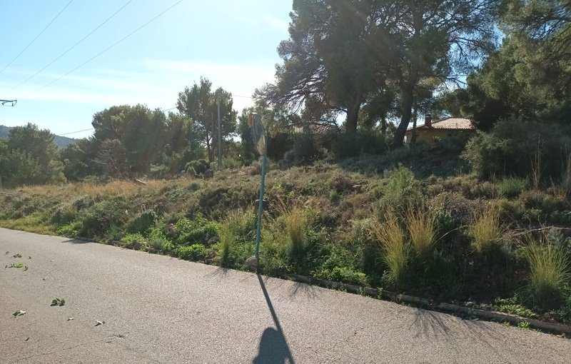 Descubre finca rstica por 22000 con 432m en cpolgono 35 parcelas 297 y 299 Serra