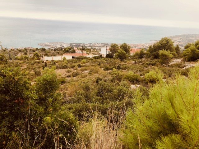 Terreno en venta en Alcalá De Chivert