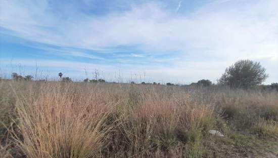 Terreno en venta en Oropesa, Castellón