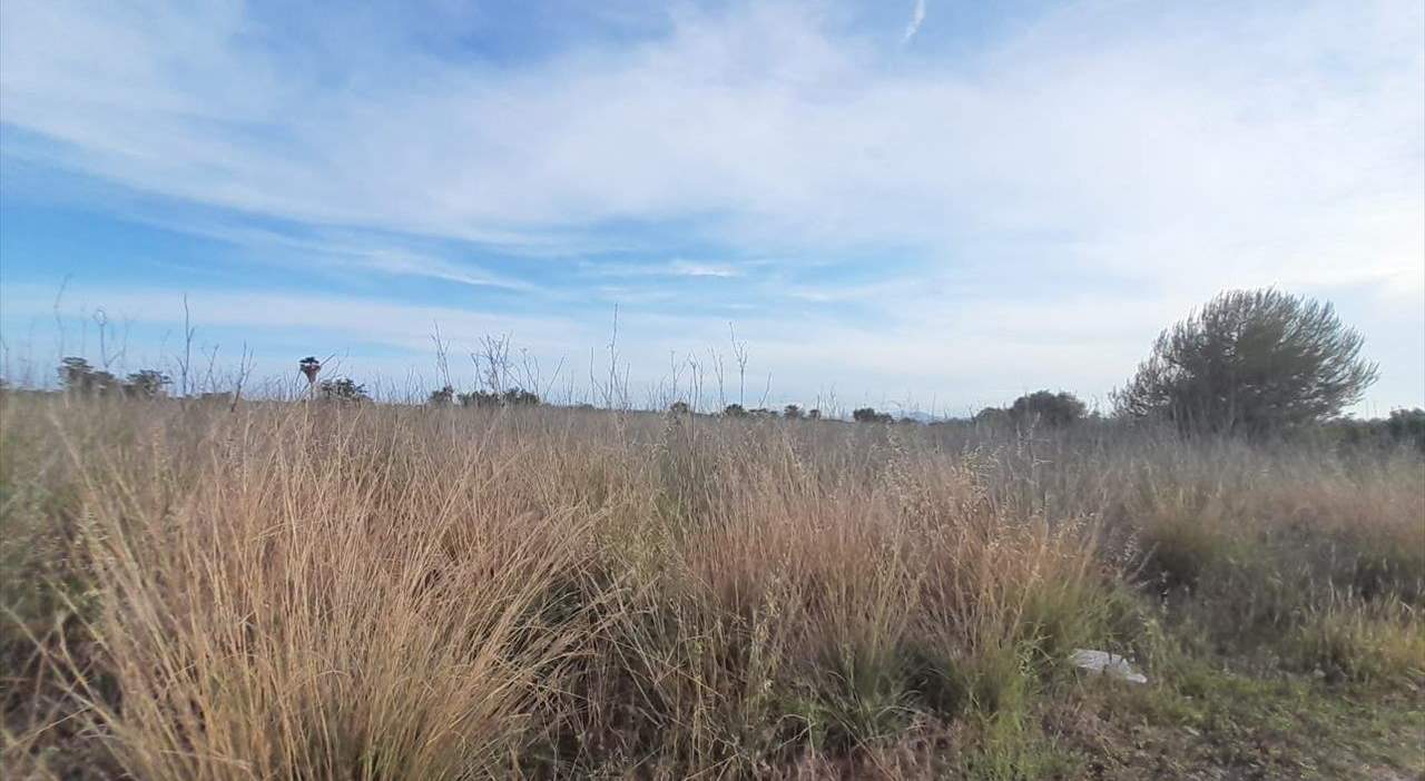 Terreno en venta en Oropesa, Castellón