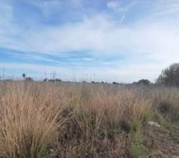 Terreno en venta en Oropesa, Castellón