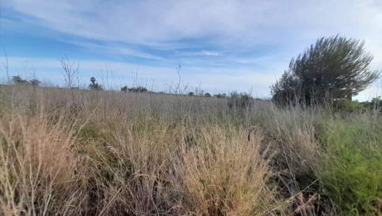Terreno en venta en Oropesa, Castellón