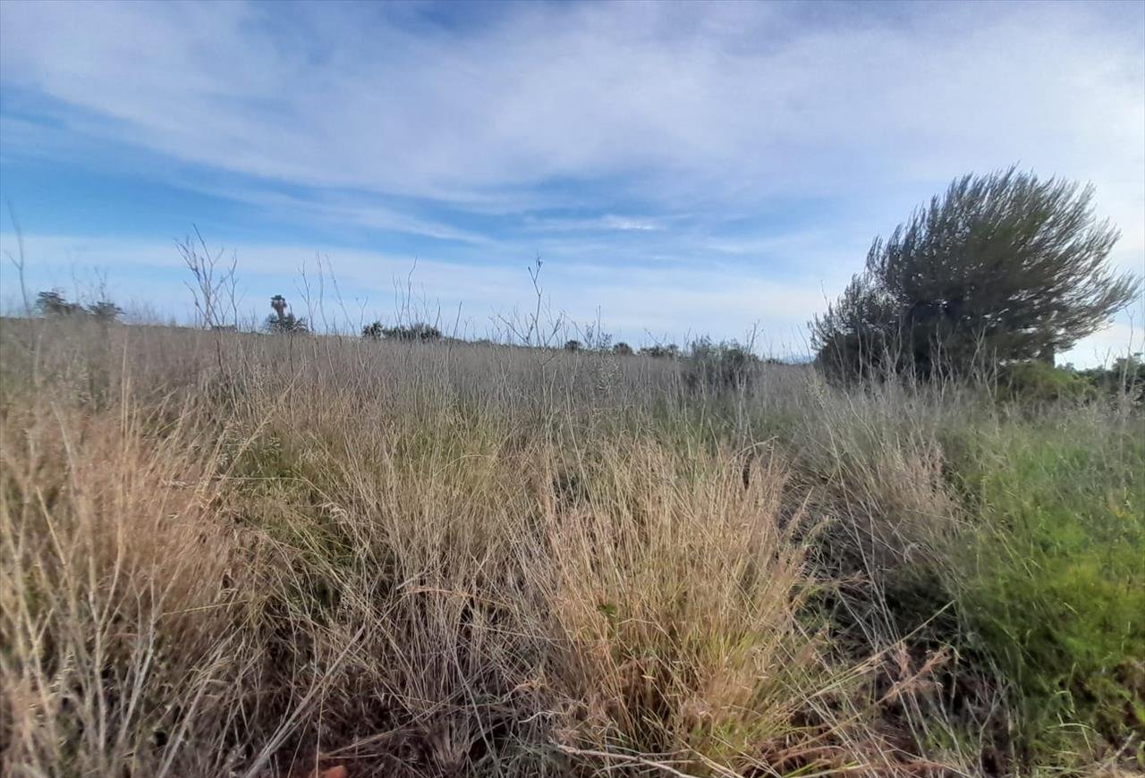 Terreno en venta en Oropesa, Castellón