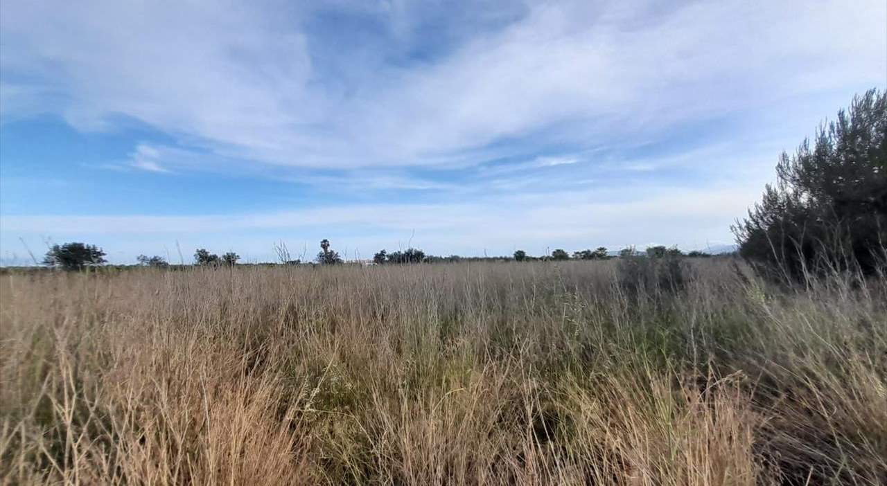 Terreno en venta en Oropesa, Castellón
